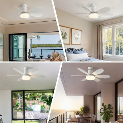 Ventilateur de Plafond Solemiz