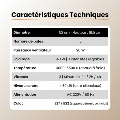 Ventilateur de Plafond Solemiz